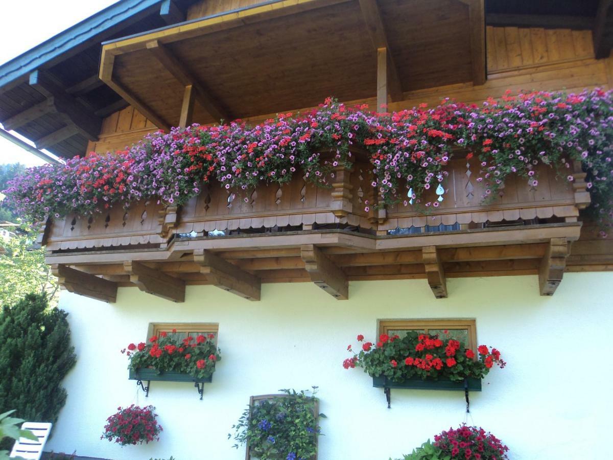 Bergblick Apartment Wagrain Exterior photo